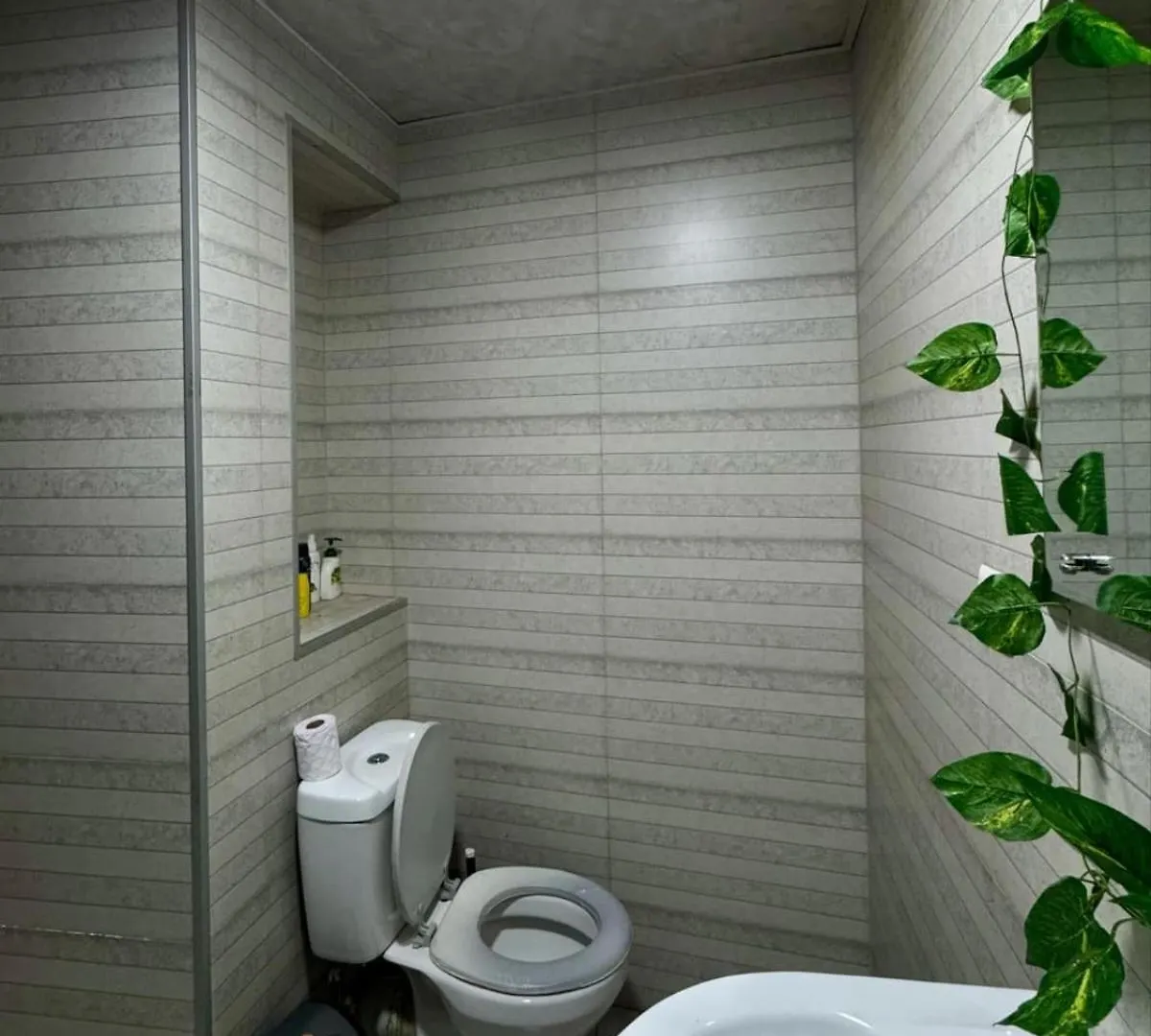 Apartment In Old Town Tbilisi Georgia
